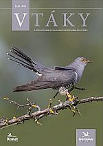 Magazine Birds